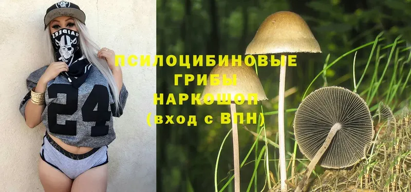 Псилоцибиновые грибы MAGIC MUSHROOMS  ссылка на мегу сайт  Зеленокумск 